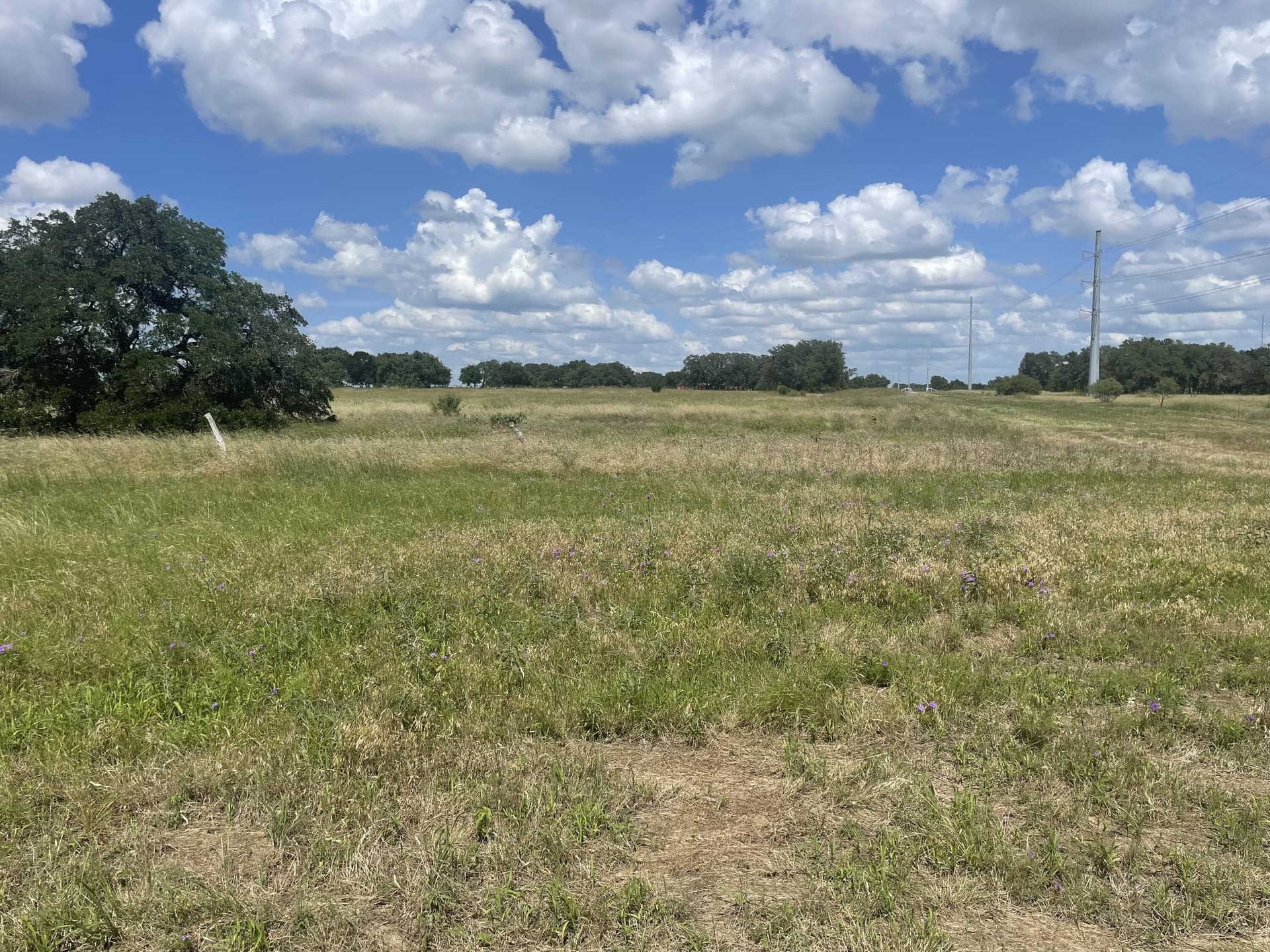 12.88 acres in Williamson County gallery image 2