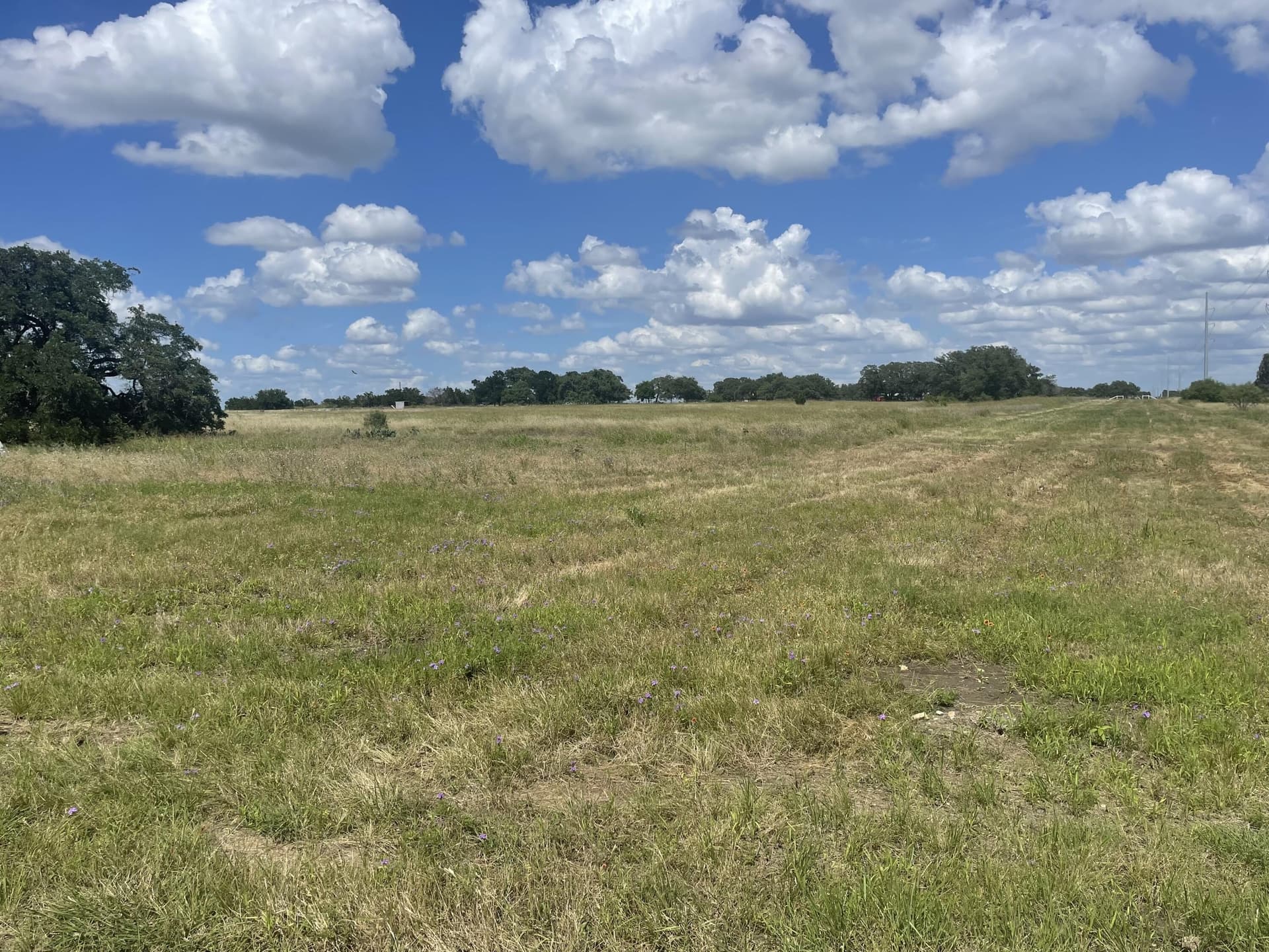 12.88 acres in Williamson County gallery image 3