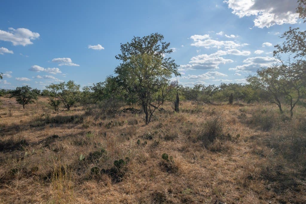 171 acres in Texas County - photo 3