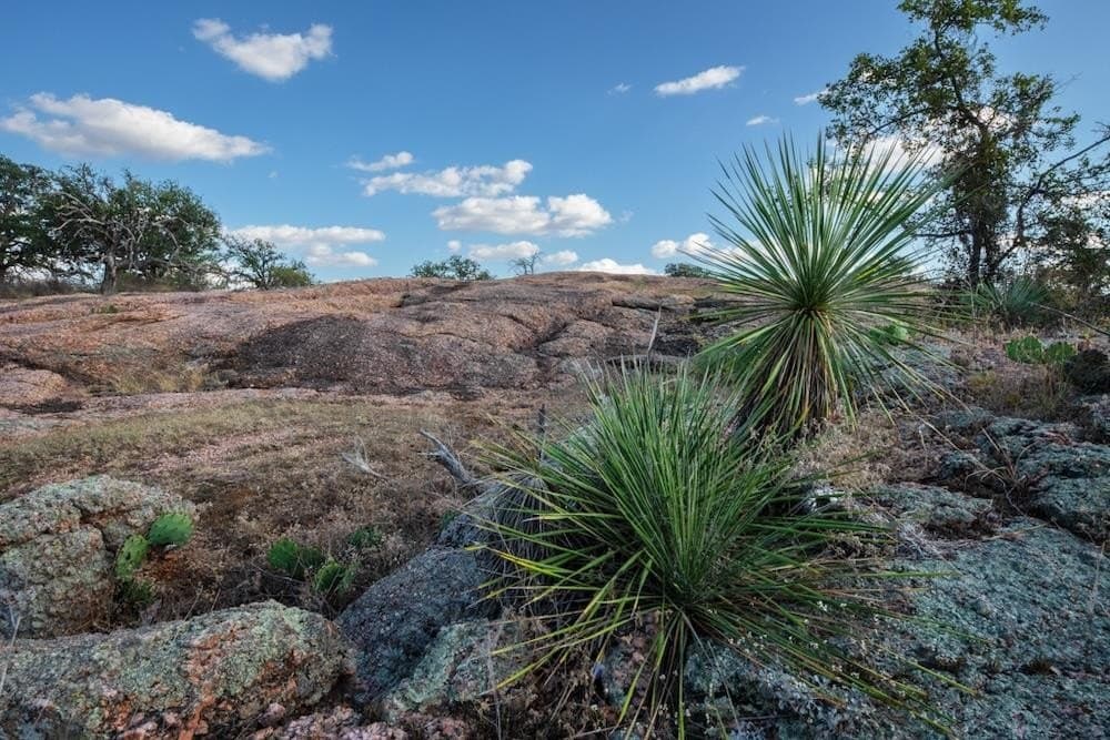 171 acres in Texas County