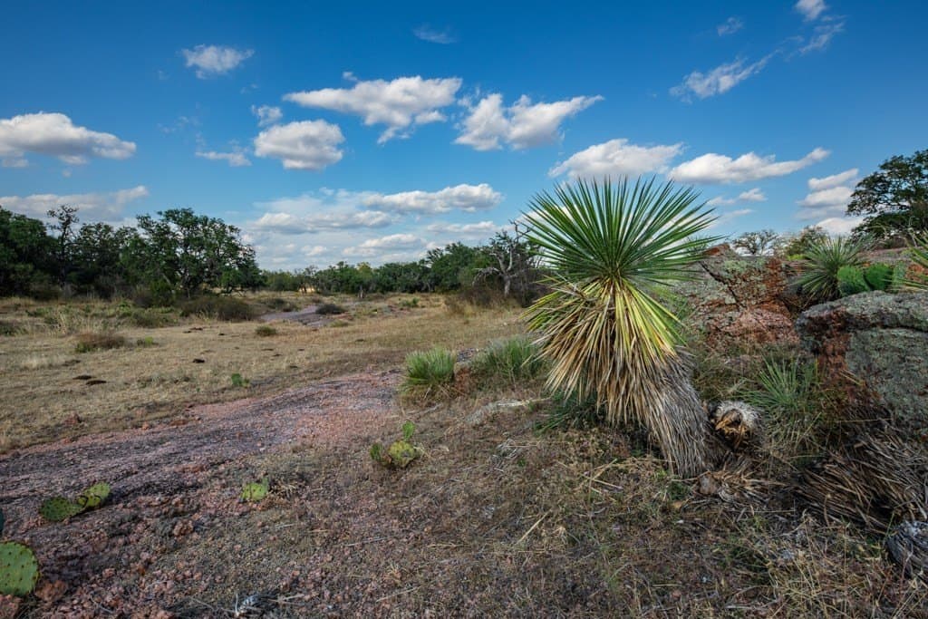 171 acres in Texas County - photo 4
