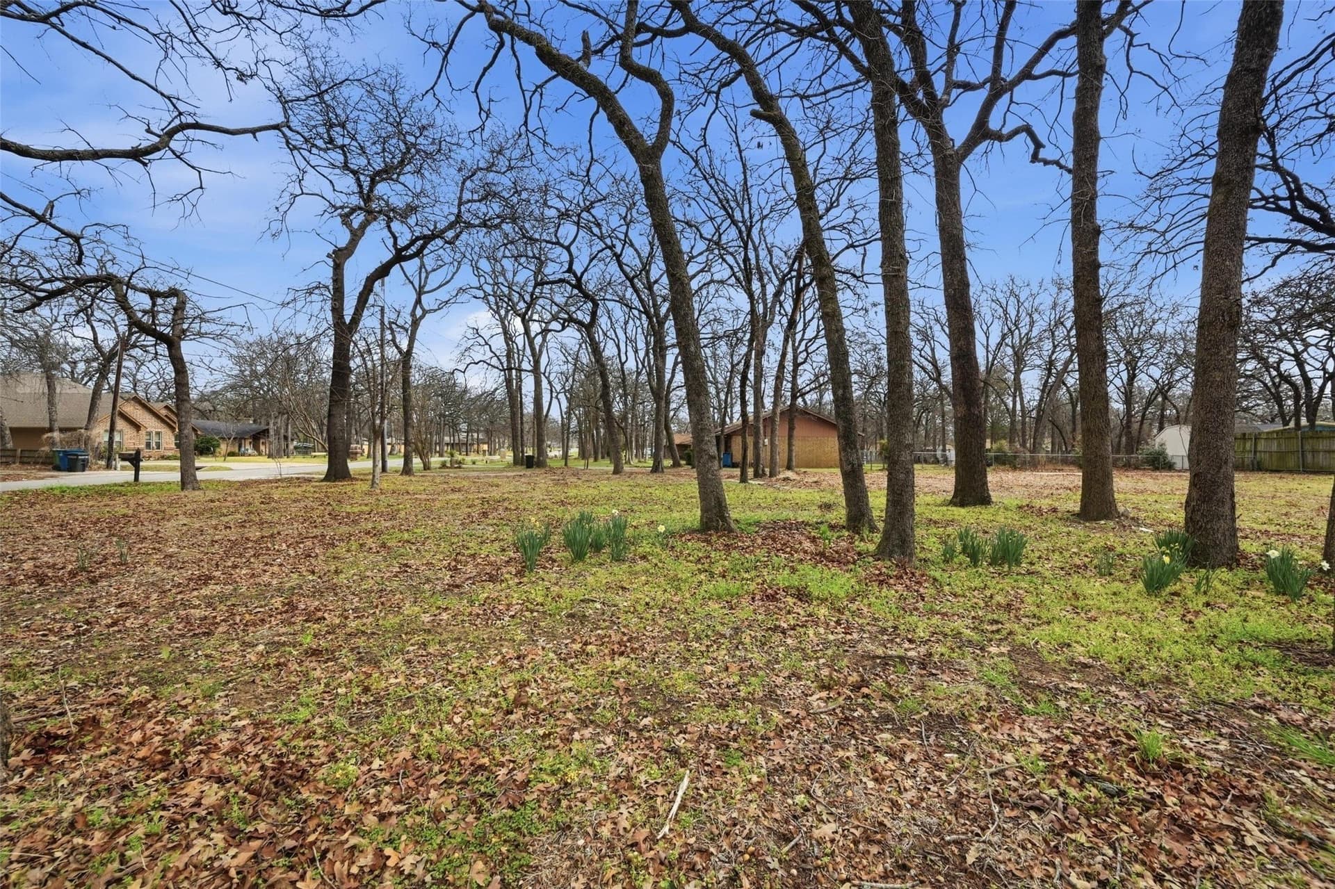0.39 acres in Denton County - photo 6