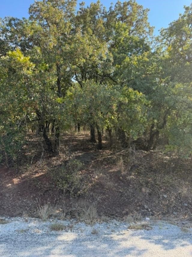 0.25 acres in Montague County