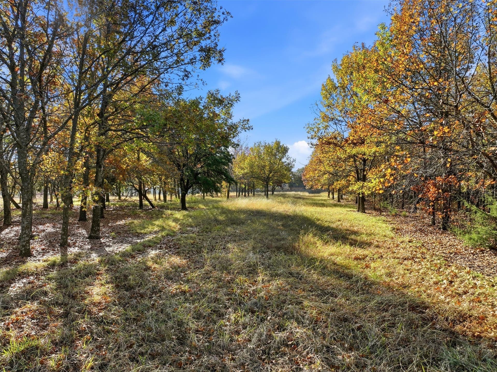 7.87 acres in Ellis County - photo 8