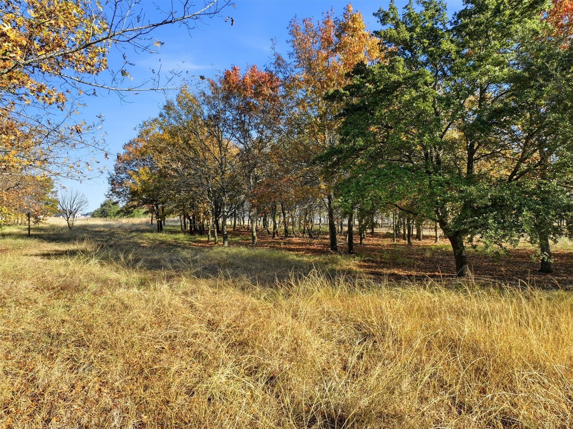 7.87 acres in Ellis County - photo 10