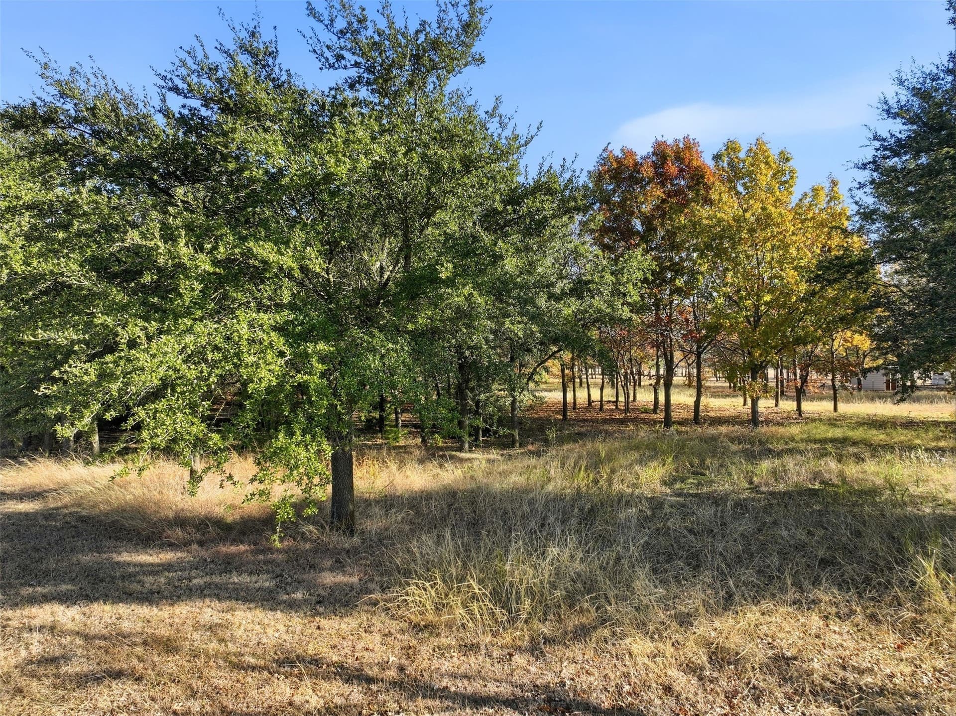 7.87 acres in Ellis County - photo 21