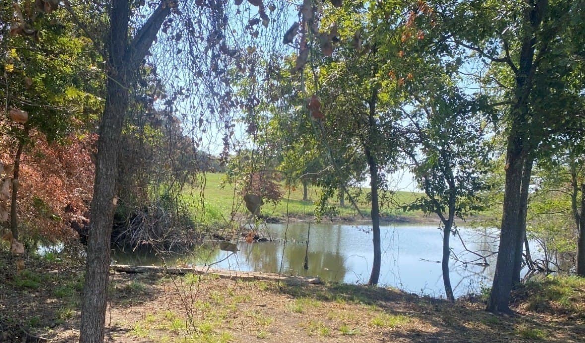 1.54 acres in Fannin County - photo 3