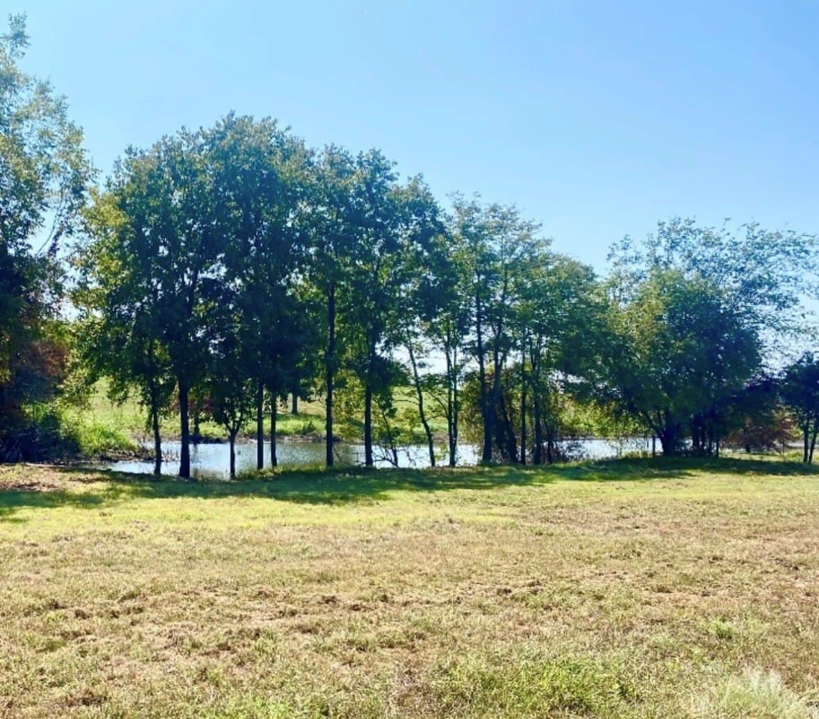 1.54 acres in Fannin County - photo 2