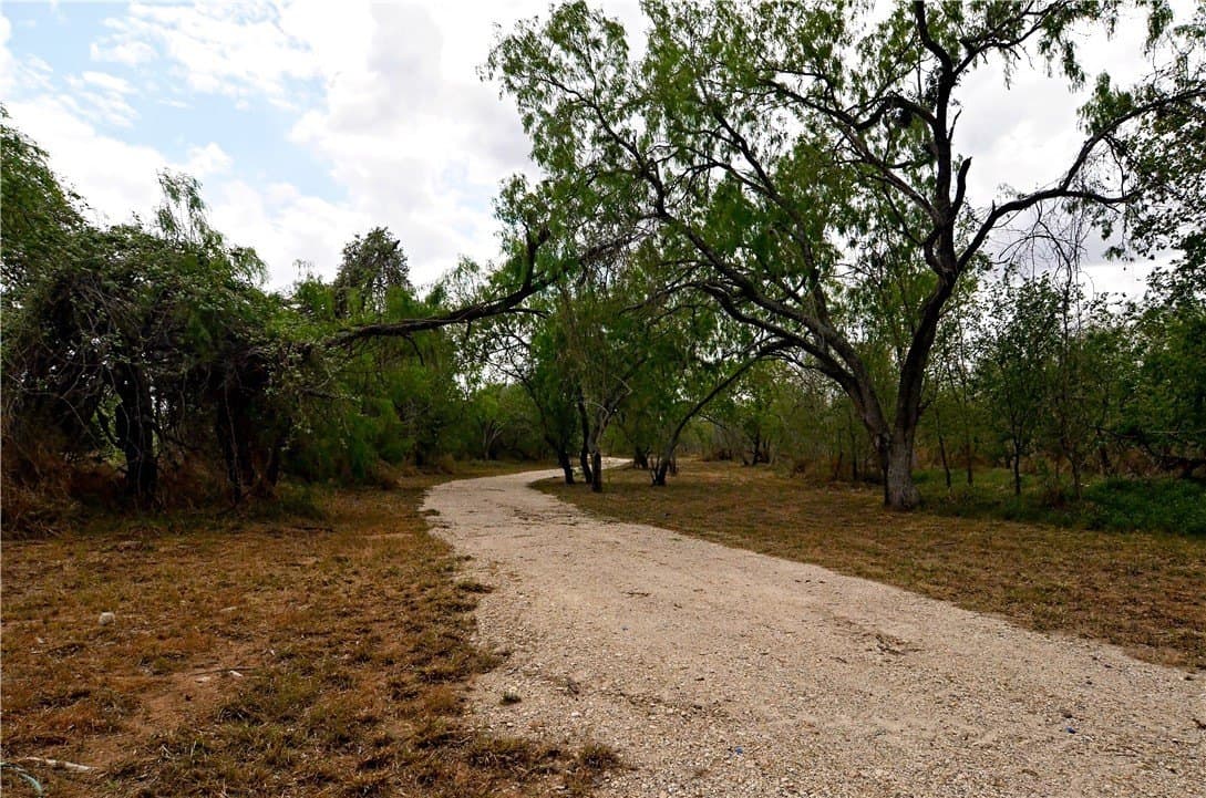 13.98 acres in Wilson County gallery image 3