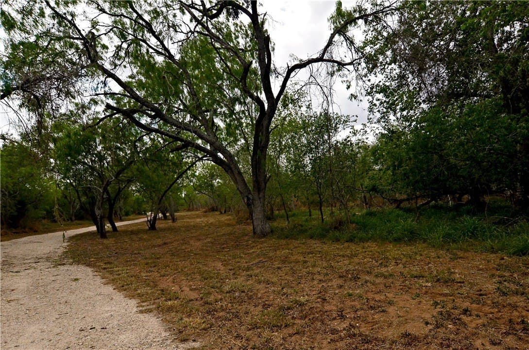 13.98 acres in Wilson County gallery image 4