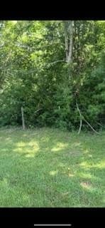 56.4 acres in Texas County - photo 5