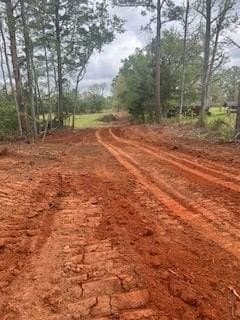 56.4 acres in Texas County - photo 2