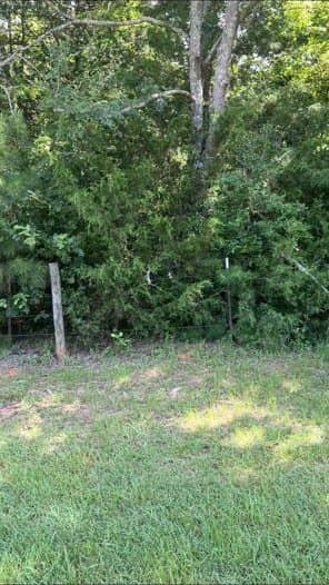 56.4 acres in Texas County - photo 8