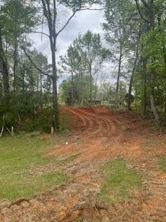 56.4 acres in Texas County