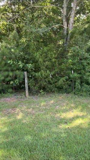 56.4 acres in Texas County - photo 7