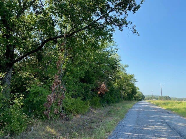 12.42 acres in Henderson County - photo 7