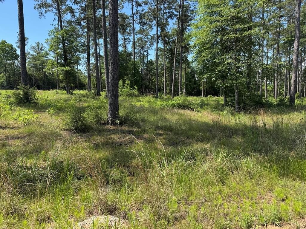 1 acres in Texas County - photo 8