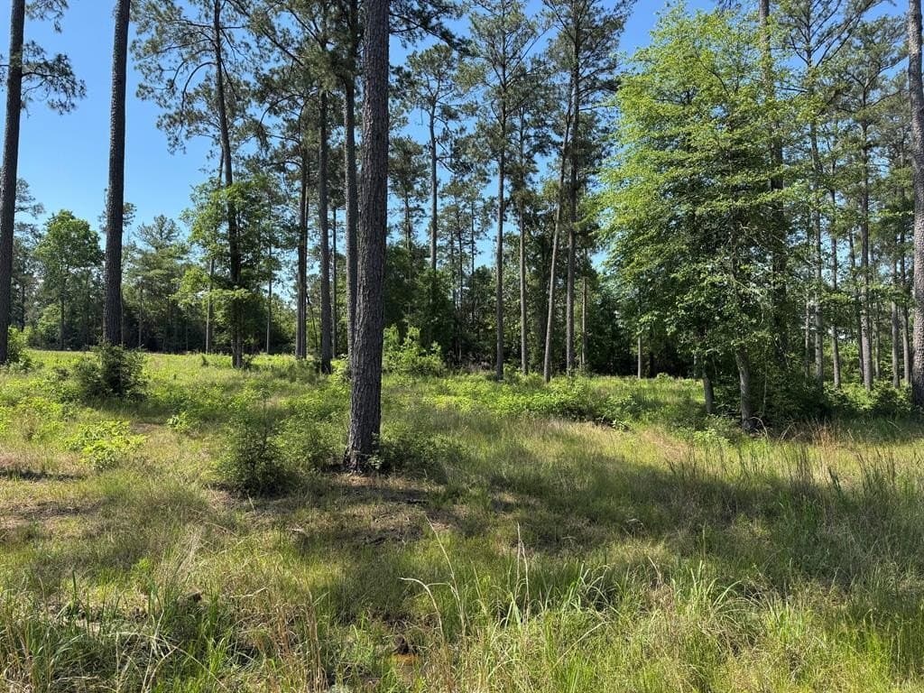 1 acres in Texas County