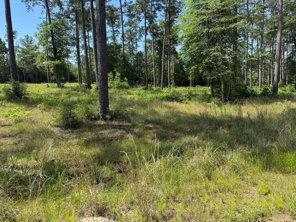 1 acres in Texas County gallery image 4