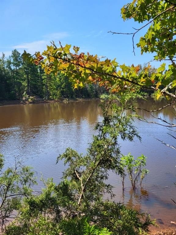 55.8 acres in Smith County gallery image 4