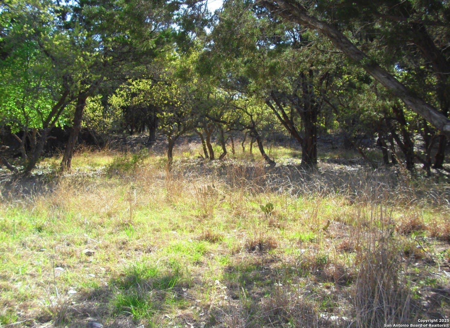 0.96 acres in Comal County gallery image 2
