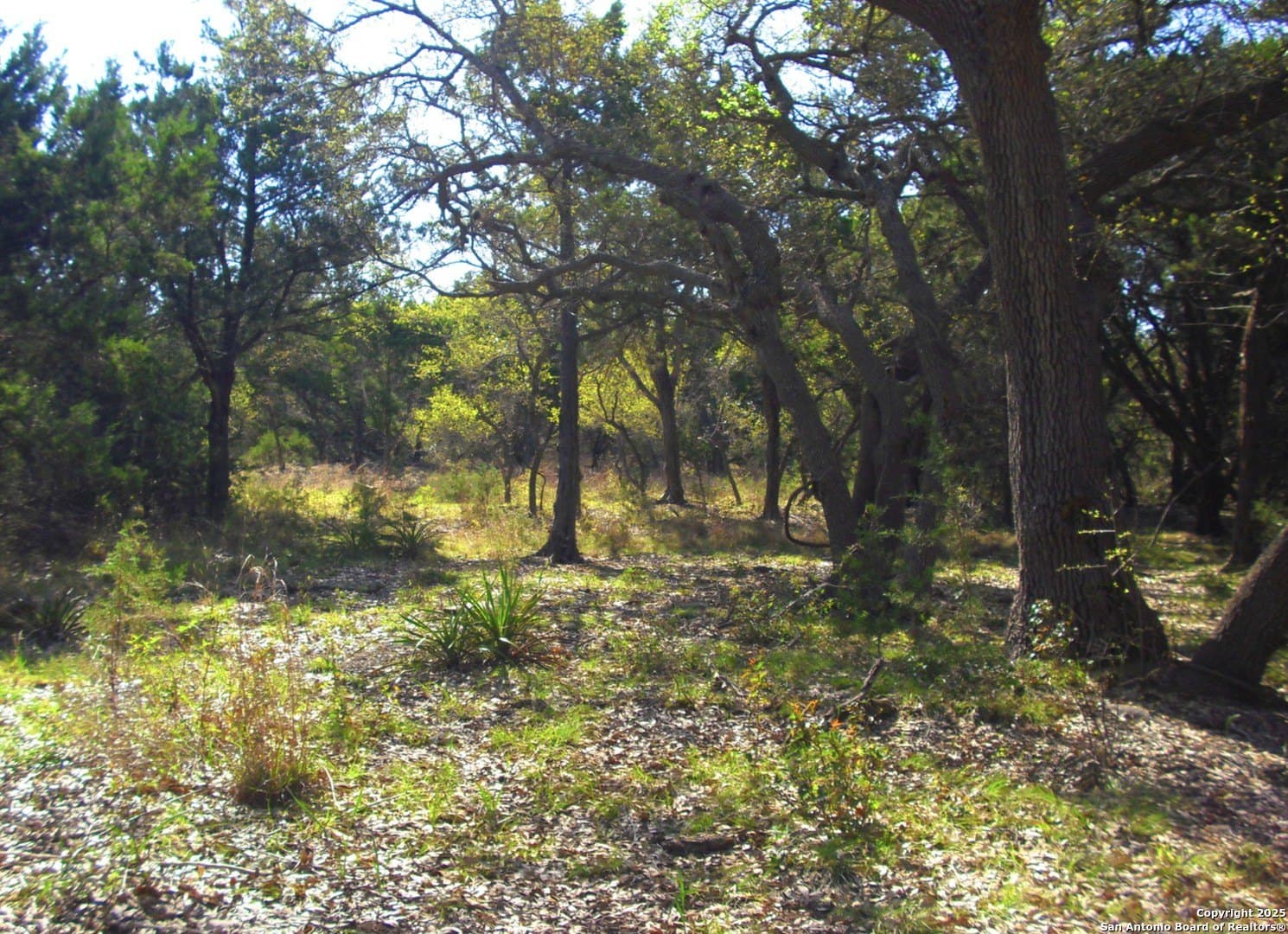 0.96 acres in Comal County