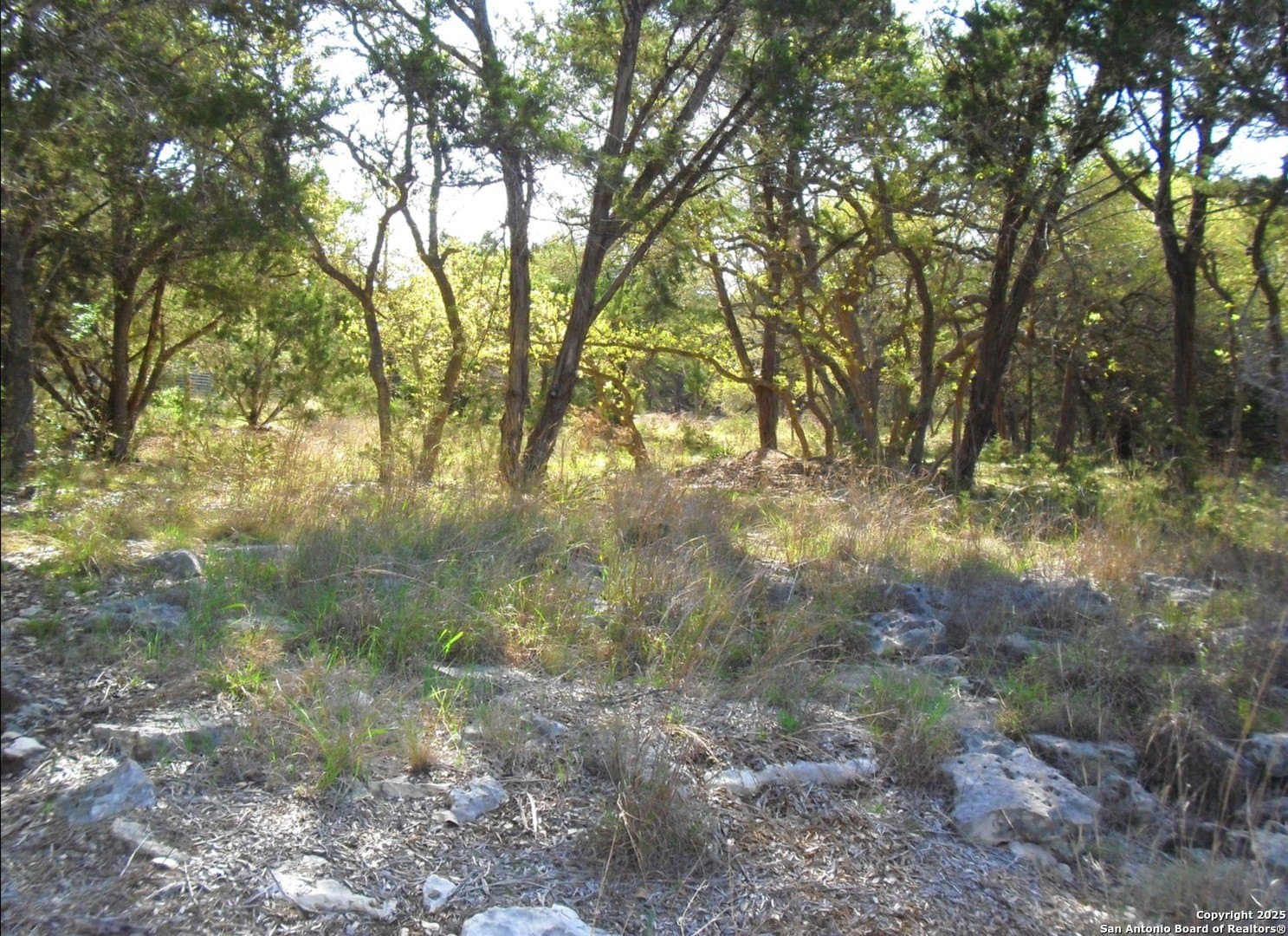 0.96 acres in Comal County gallery image 3