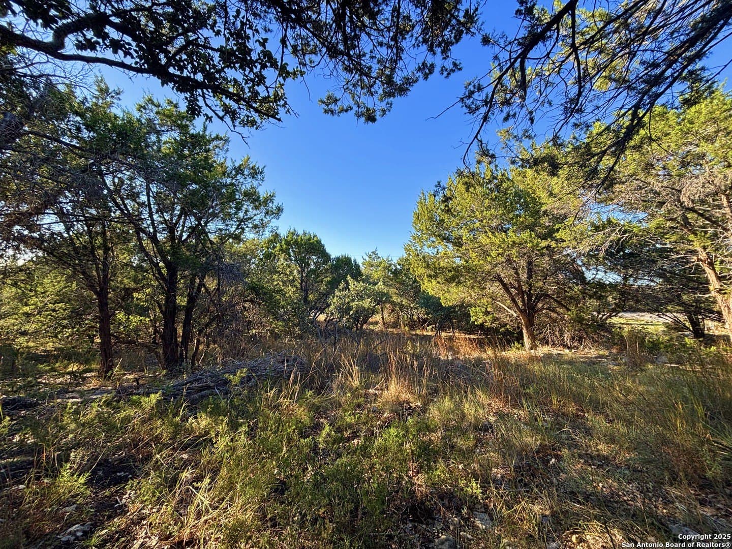 0.96 acres in Comal County gallery image 4