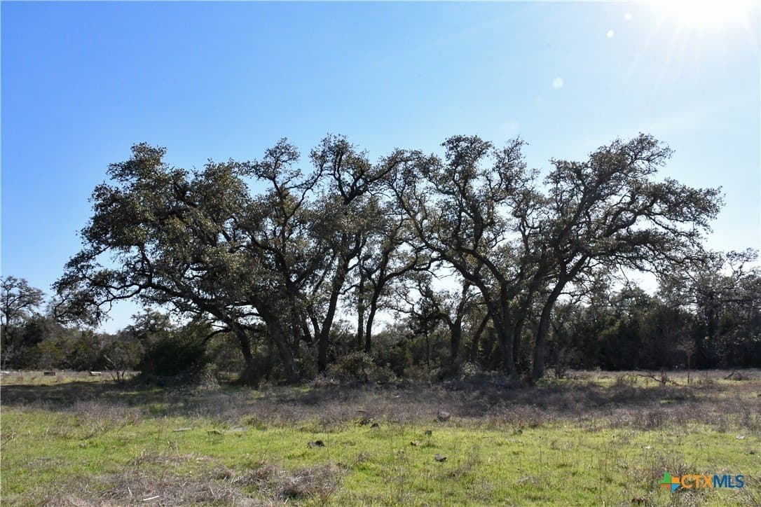 10.91 acres in Comal County gallery image 4