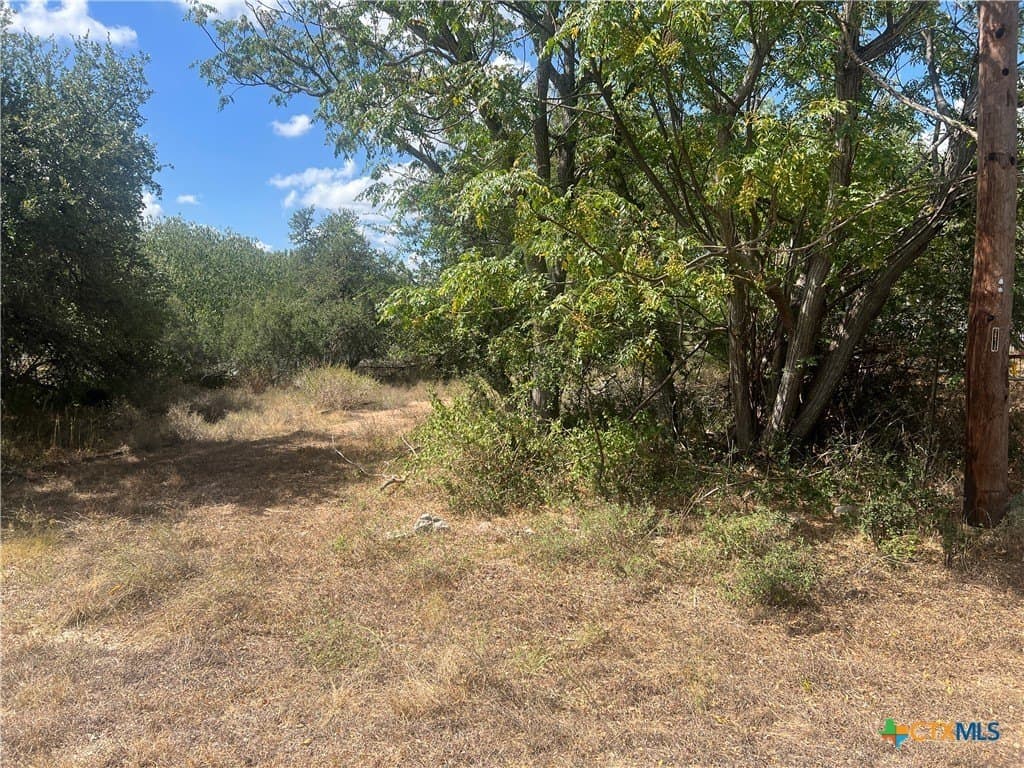 0.46 acres in Comal County - photo 8