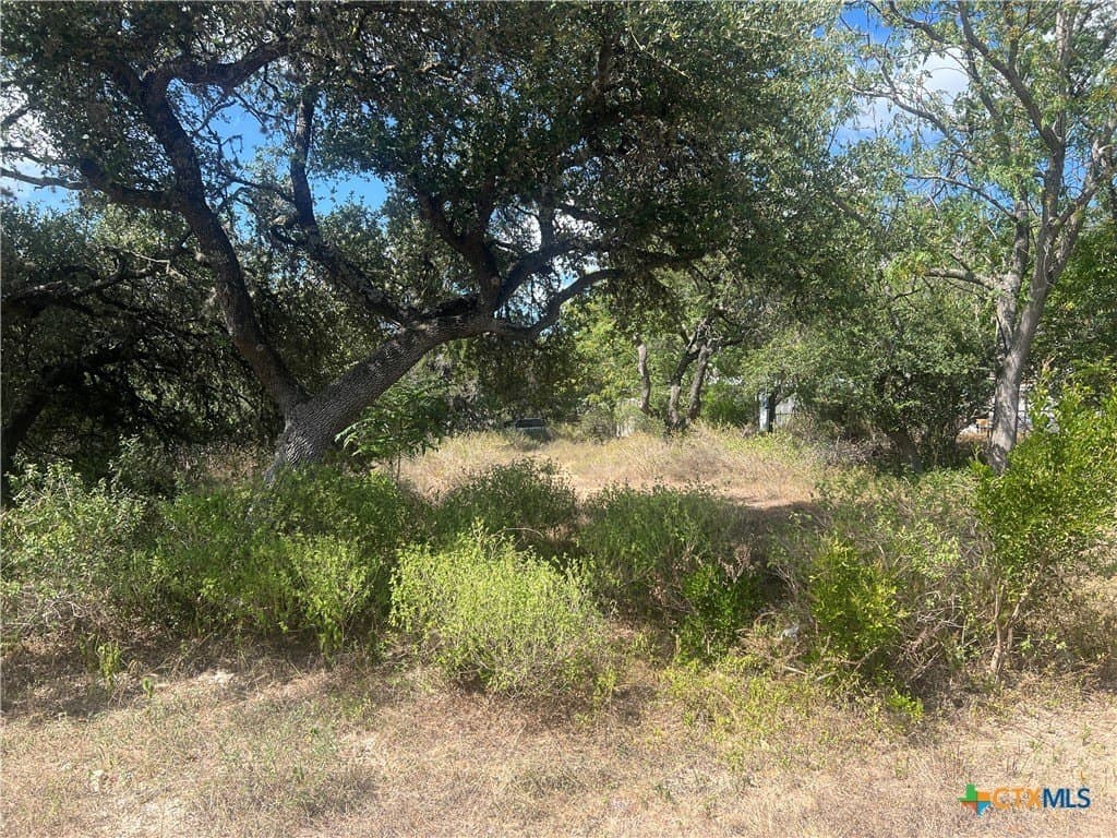 0.46 acres in Comal County - photo 10