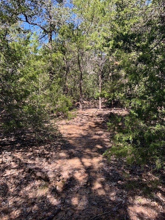 25 acres in Lee County