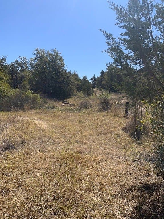 25 acres in Lee County featured view