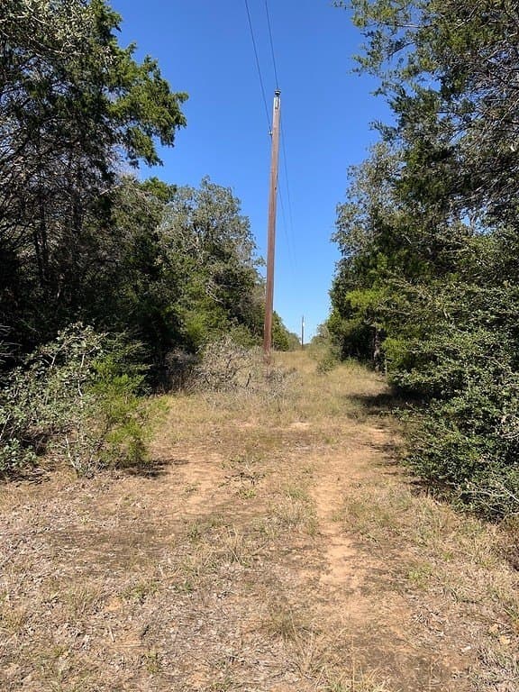 25 acres in Lee County gallery image 3