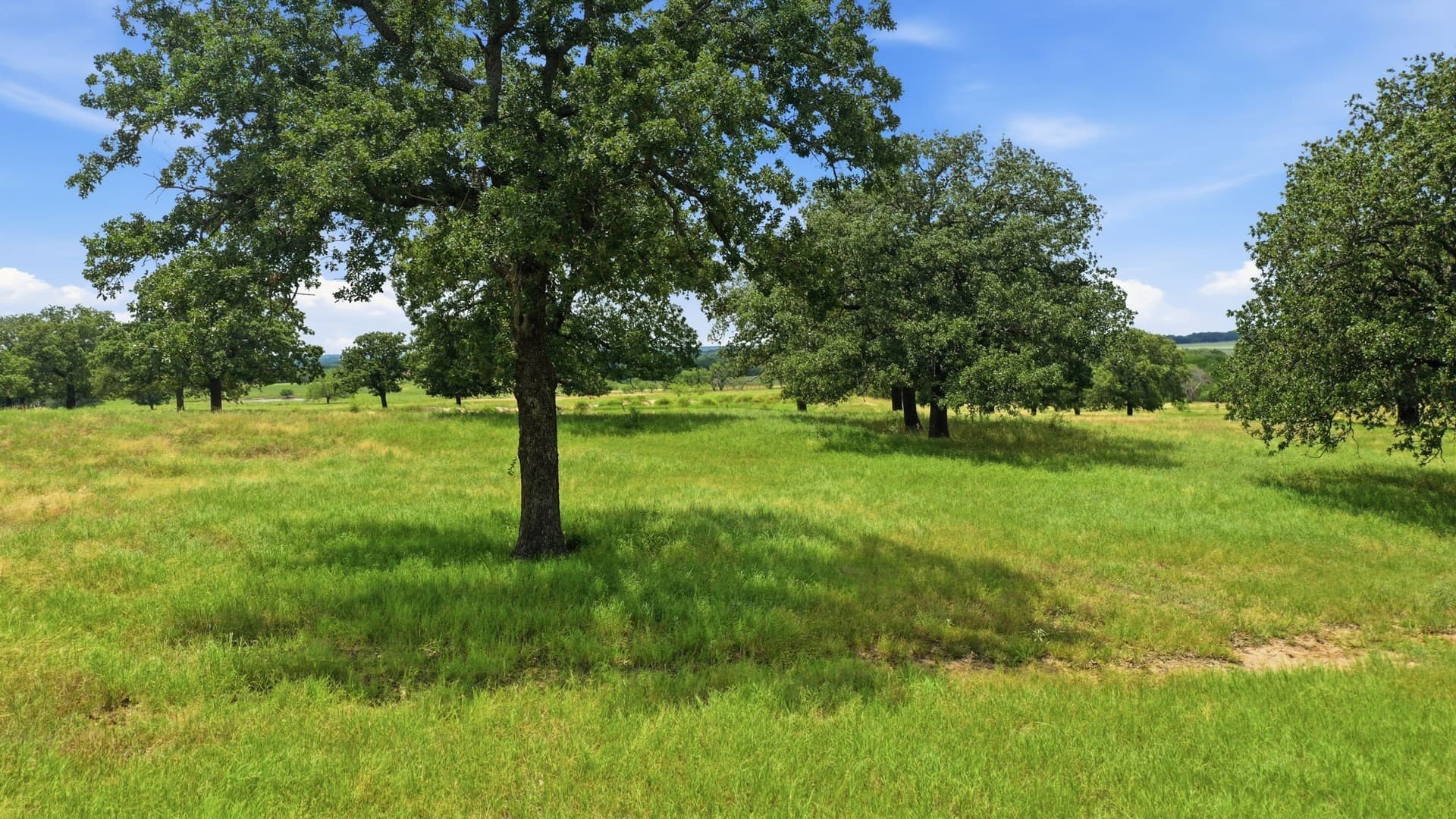 83.92 acres in Comanche County - photo 36