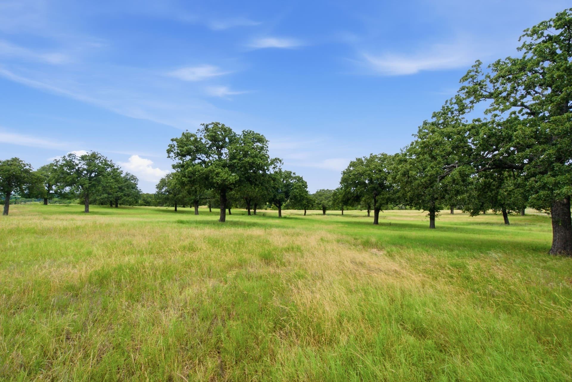83.92 acres in Comanche County - photo 35