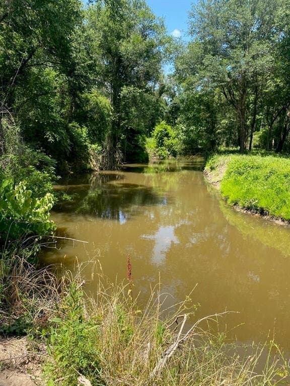 91.75 acres in Limestone County gallery image 2