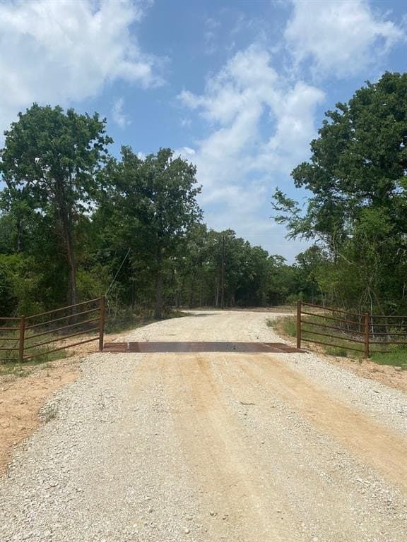 91.75 acres in Limestone County gallery image 4