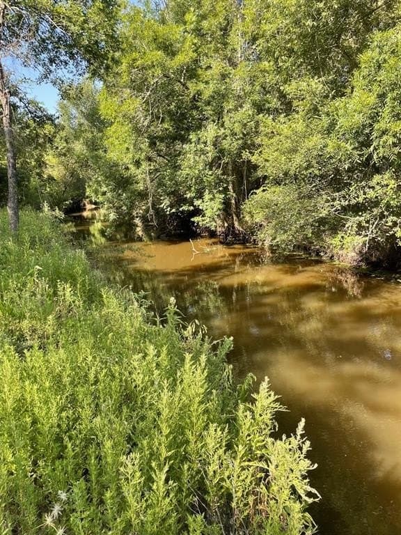 91.75 acres in Limestone County gallery image 3