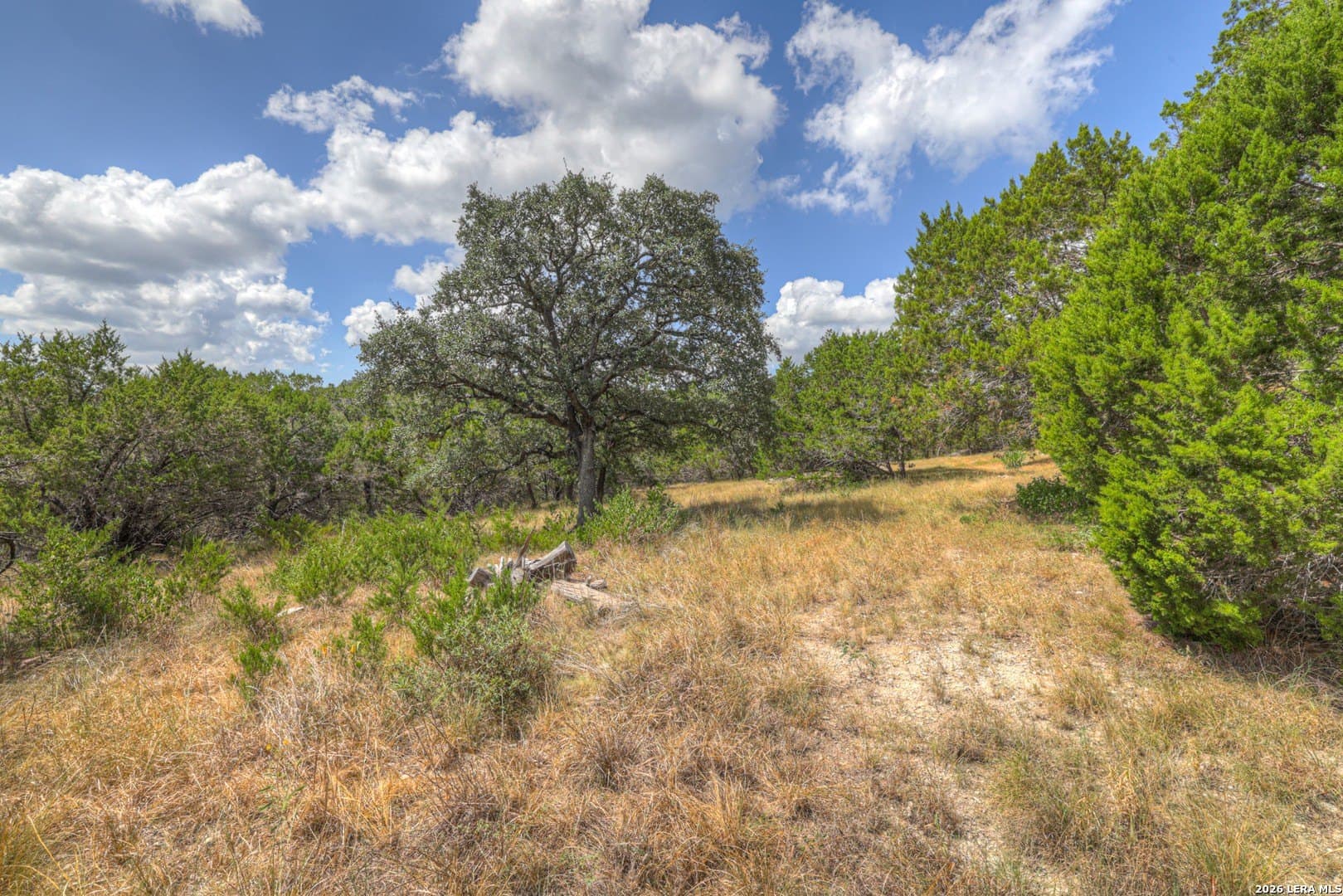 0.84 acres in Comal County - photo 10
