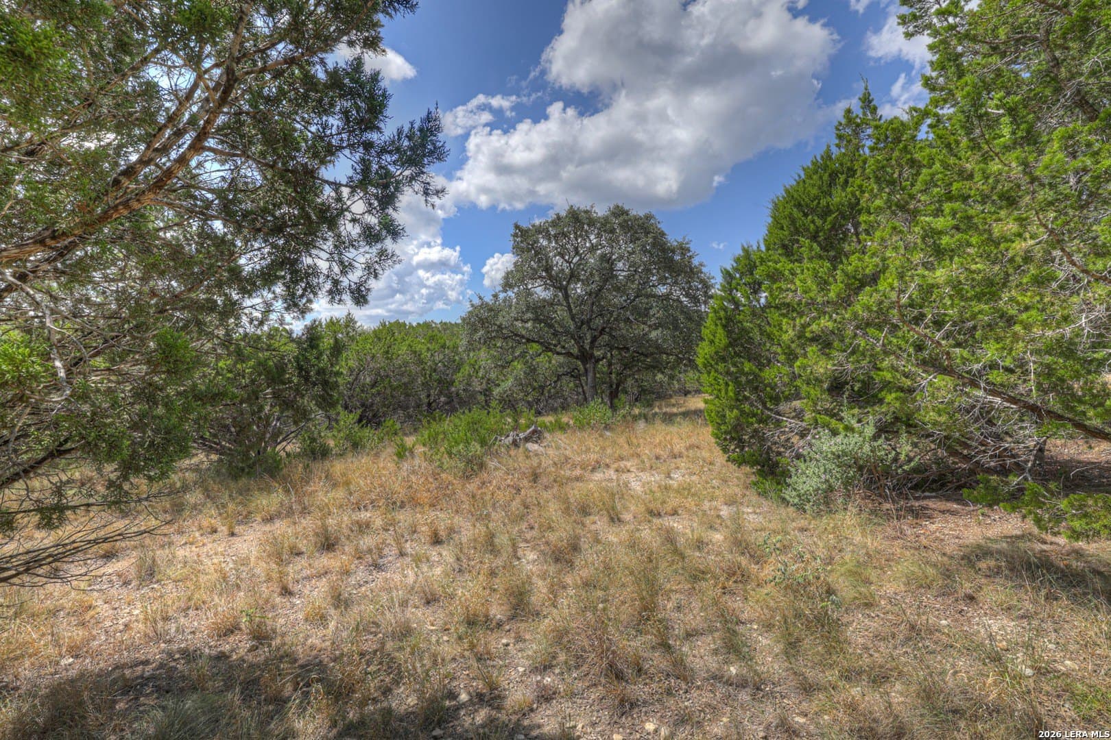 0.84 acres in Comal County - photo 9