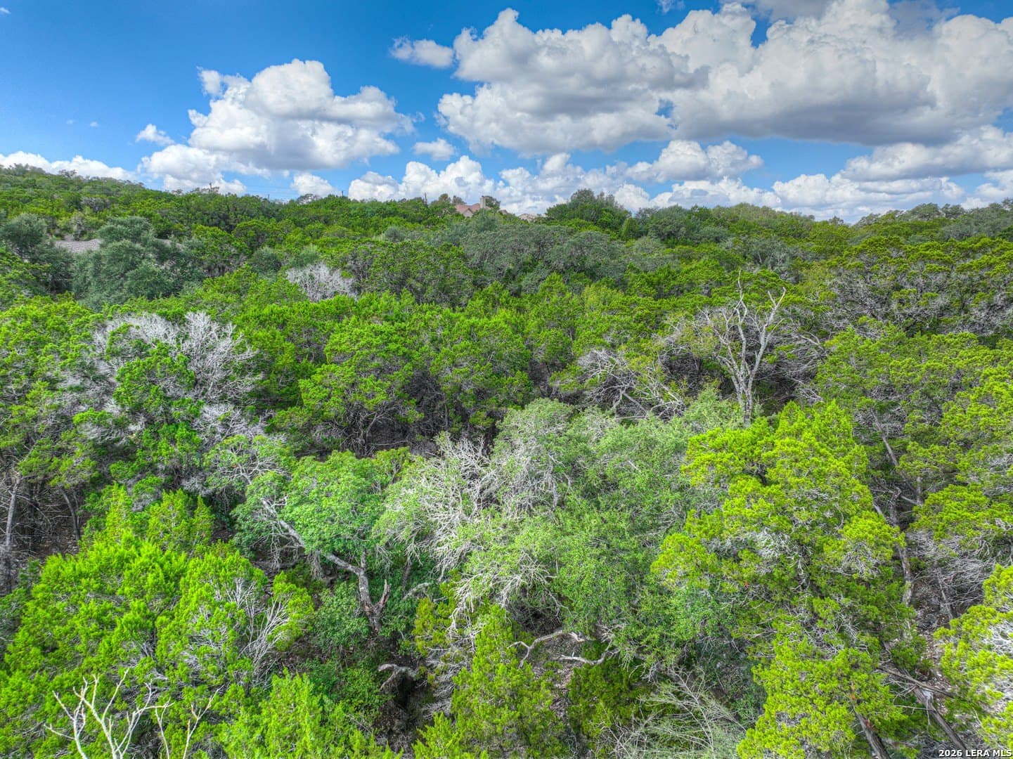 0.84 acres in Comal County - photo 20