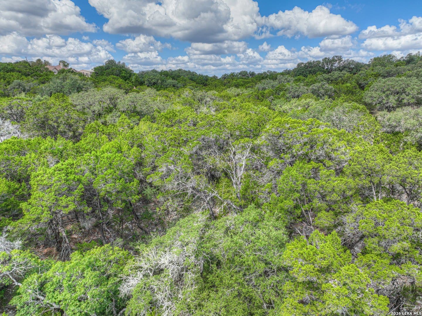 0.84 acres in Comal County - photo 17