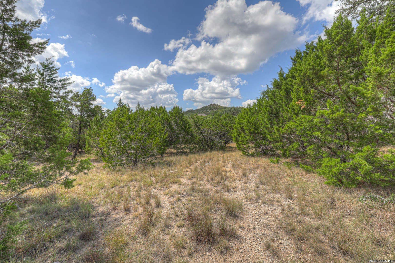 0.84 acres in Comal County - photo 8