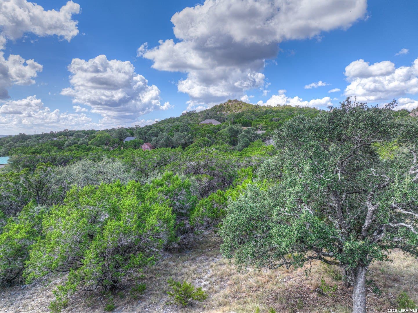 0.84 acres in Comal County - photo 13