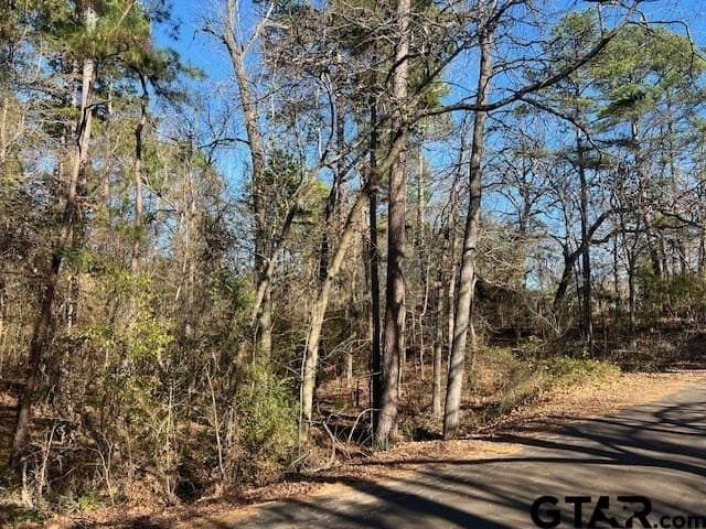 881 acres in Smith County - photo 43