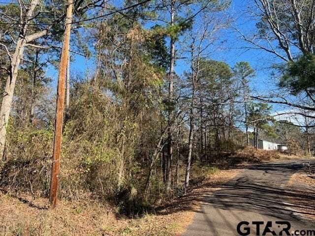 881 acres in Smith County - photo 41