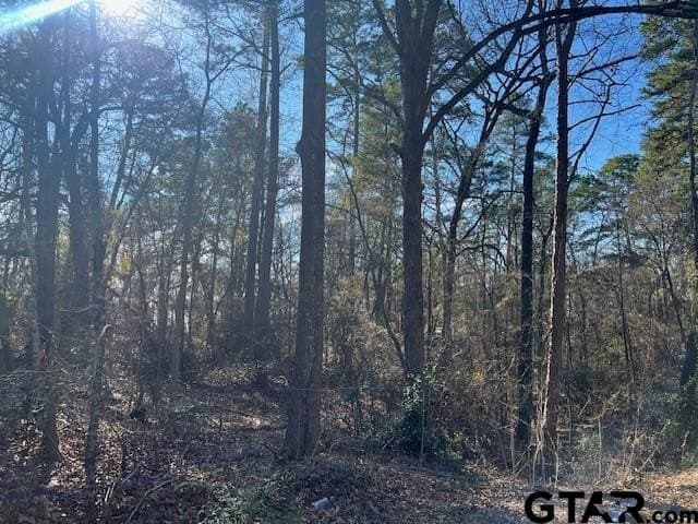 881 acres in Smith County - photo 45