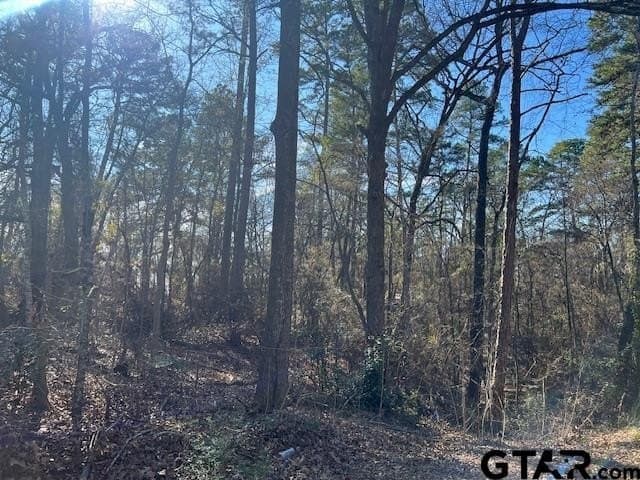 881 acres in Smith County - photo 44