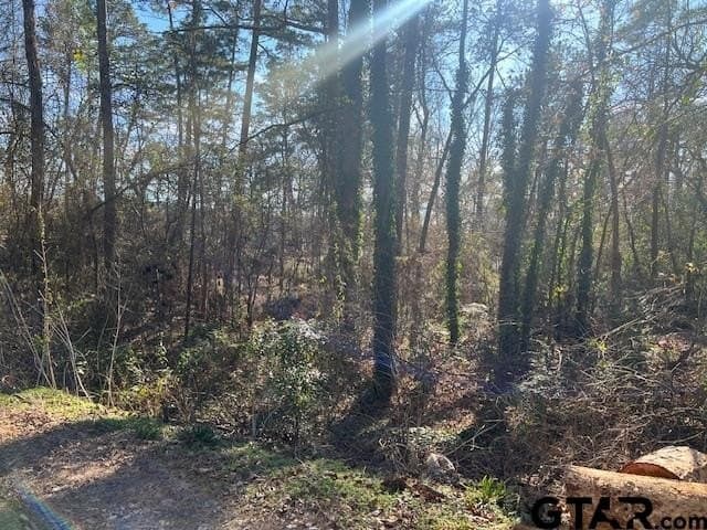 881 acres in Smith County - photo 46